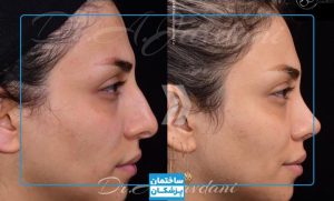 نمونه کار دکتر جاودانی