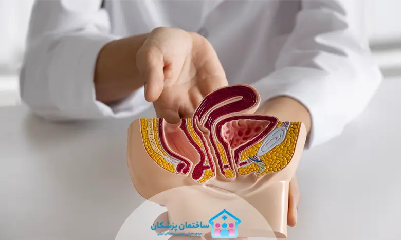 لیست بهترین دکترهای اورولوژی در شیراز