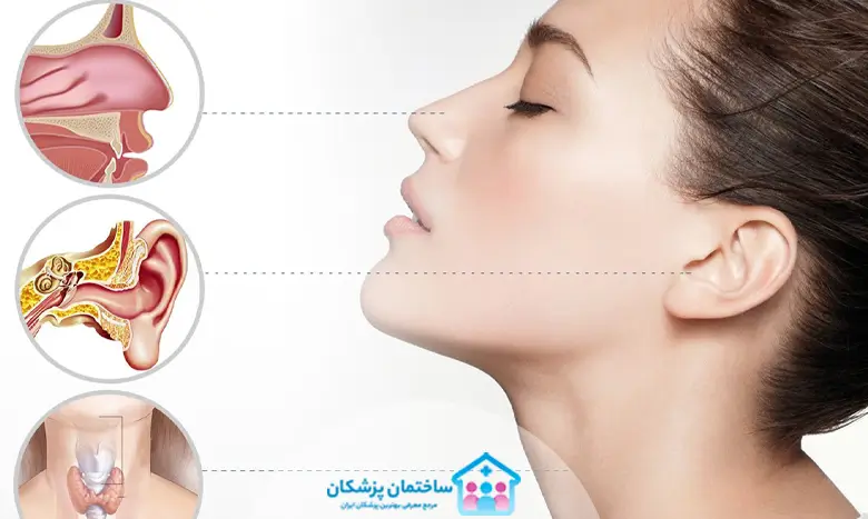 بهترین روش درمان پولیپ بینی چیه؟