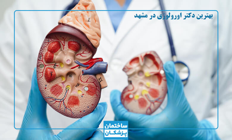 لیست بهترین متخصصین اورولوژی در مشهد