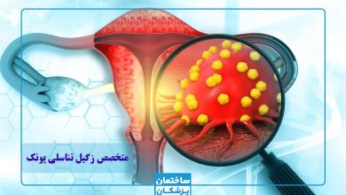 بهترین متخصص زگیل تناسلی در پونک