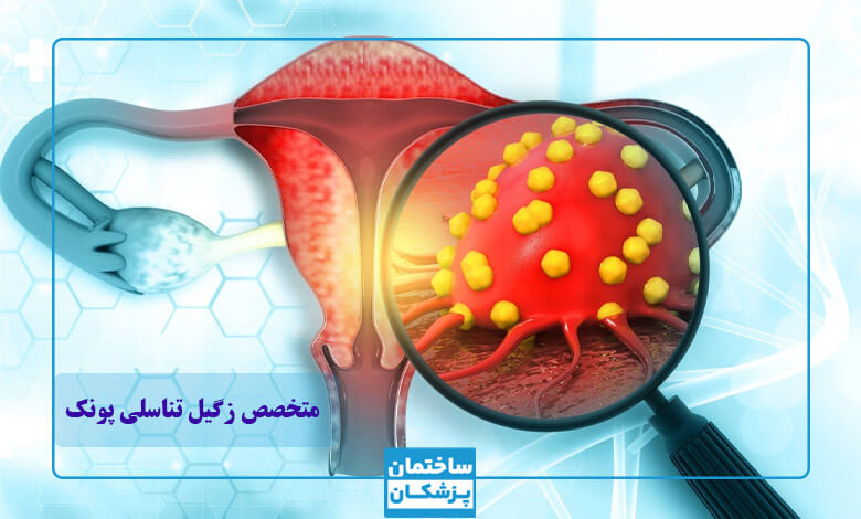 بهترین متخصص زگیل تناسلی در پونک