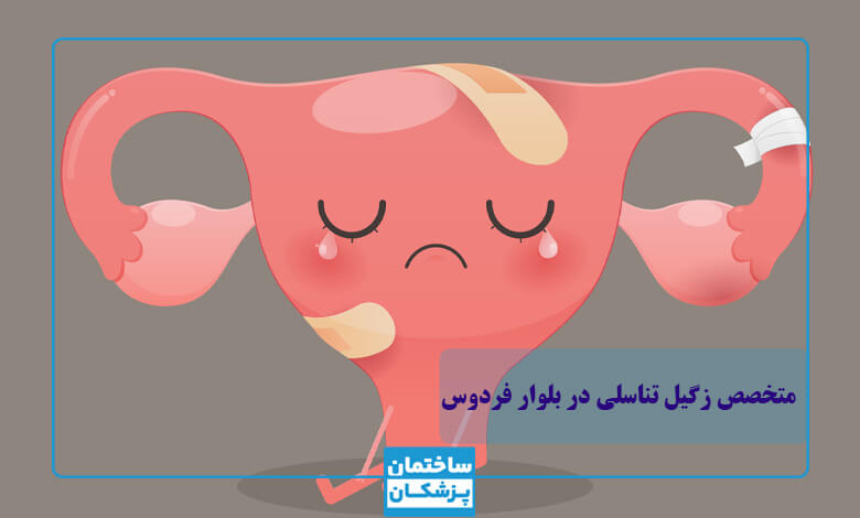 بهترین متخصص زگیل تناسلی در بلوار فردوس