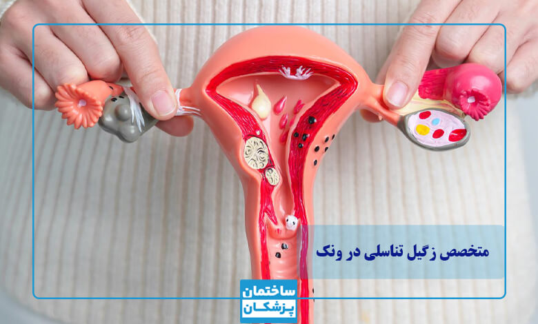 بهترین متخصص زگیل تناسلی در ونک