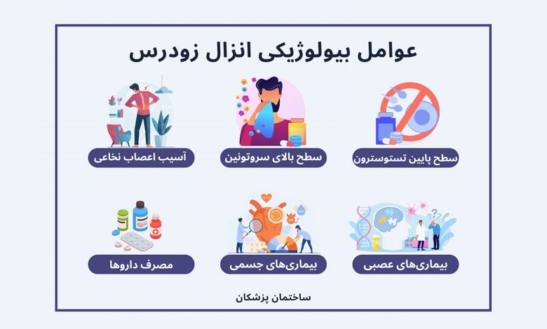اینفوگرافیک عوامل انزال زودرس چیست