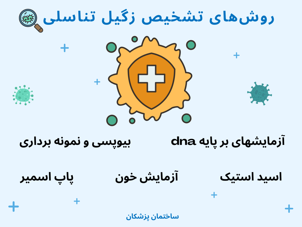اینفوگرافیک روش های تشخیص زگیل تناسلی
