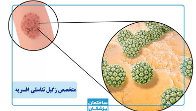 بهترین متخصص زگیل تناسلی در افسریه