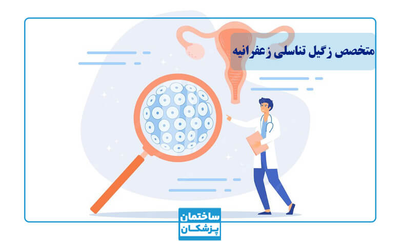 لیست بهترین متخصصین زگیل تناسلی در زعفرانیه