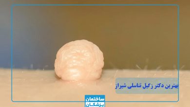 بهترین متخصص و دکتر زگیل تناسلی در شیراز