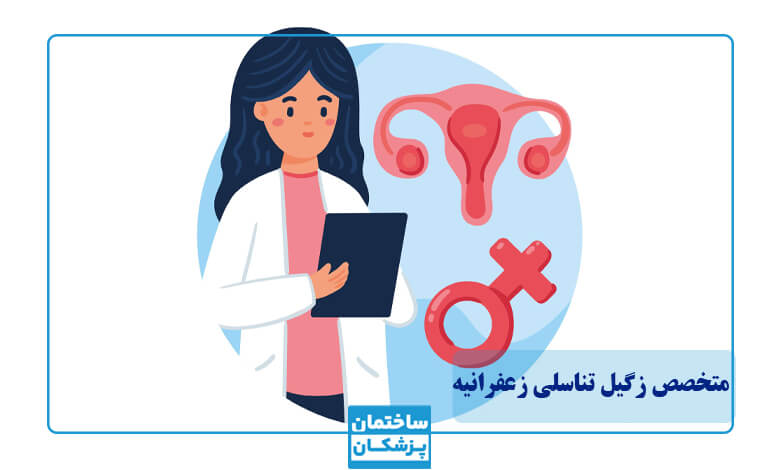 بهترین متخصص زگیل تناسلی در زعفرانیه